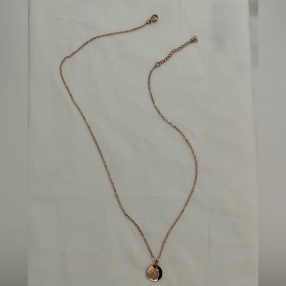 Aster Rose Gold Stainless Steel September Birth Flower Necklace Mother’s Day - Picture 7 of 8